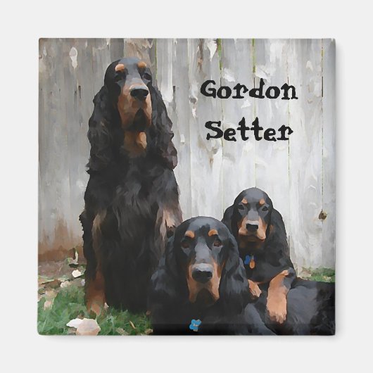 Aimant Peinture des Générations de Setter Gordon sur un A (Devant)