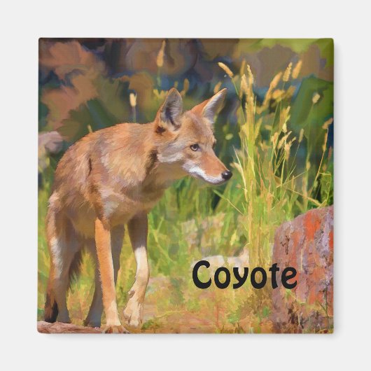 Aimant Peinture d'été sur la faune de Coyote (Devant)