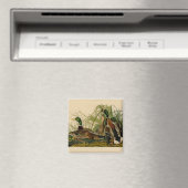 Aimant Peinture d'oiseaux de Mallard Duck Audubon (In Situ (Lave-vaisselle))