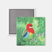 Aimant Peinture d'oiseaux Rosella (Recto/Verso)