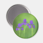 Aimant Peinture Iris Violet - Art Fleur Originale (Recto/Verso)