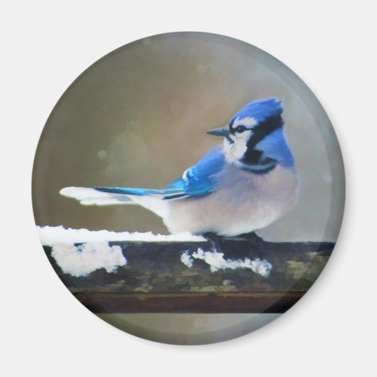 Aimant Peinture Jay Bleu - Art Oiseau Original (Devant)