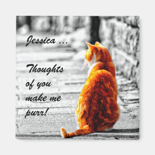 Aimant Peinture orange teintée par A-PAL de chat tigré