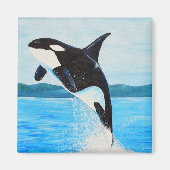 Aimant Peinture Orca (Devant)