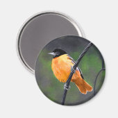 Aimant Peinture Oriole - Art Oiseau Original (Recto/Verso)