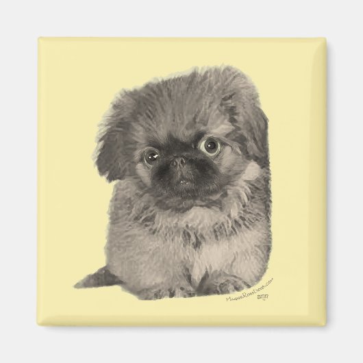 Aimant Pekingese Chiot jaune (Devant)