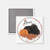 Aimant Pékinois (Recto/Verso)