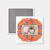 Aimant Pékinois (Recto/Verso)