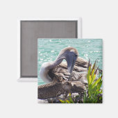 Aimant Pélican (Recto/Verso)