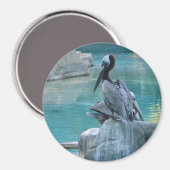 Aimant Pélican (Recto/Verso)