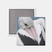 Aimant Pélican australien en gros plan (Recto/Verso)