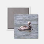 Aimant pélican Brown (Recto/Verso)