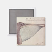 Aimant Pelican, c.1590 (Recto/Verso)