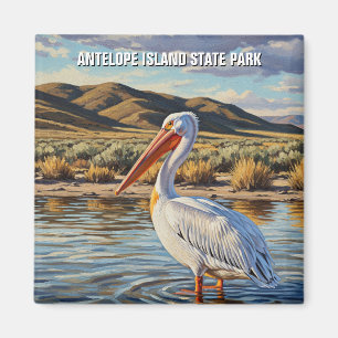 Aimant Pélican dans Antelope Island State Park Utah