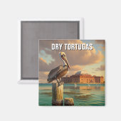 Aimant Pélican dans le parc national des Tortugas à sec (Recto/Verso)