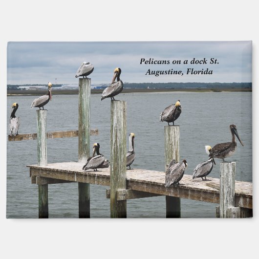 Aimant Pélican posé sur une jetée (Recto)