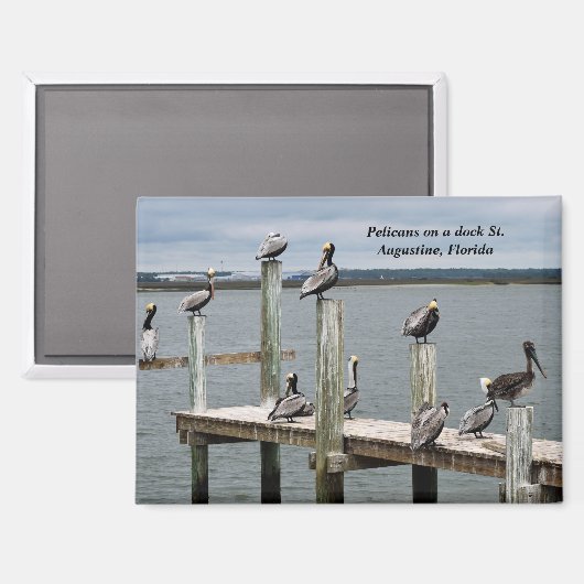 Aimant Pélican posé sur une jetée (Recto/Verso)