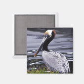 Aimant Pelican Poser (Recto/Verso)