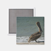 Aimant Pélican sur la plage Photo (Recto/Verso)