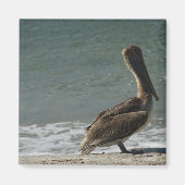 Aimant Pélican sur la plage Photo (Devant)