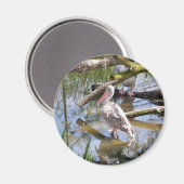 AIMANT PÉLICANS (Recto/Verso)