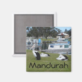 Aimant Pélicans à Mandurah (Recto/Verso)
