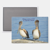 Aimant Pélicans à quai (Recto/Verso)