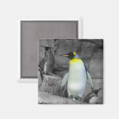 Aimant Penguin (Recto/Verso)