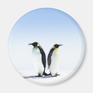AIMANT PENGUIN