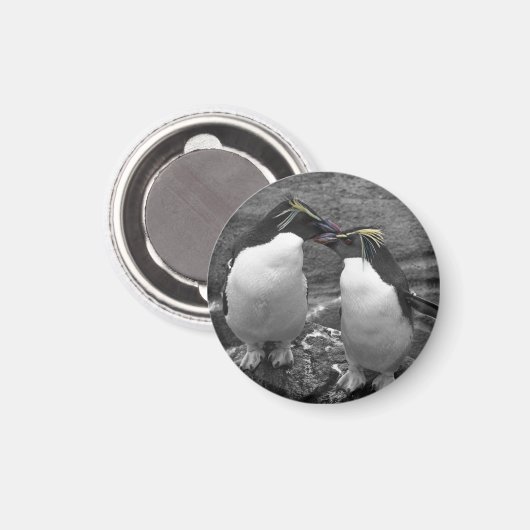 Aimant Penguin Colour Splash (Recto/Verso)