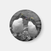 Aimant Penguin Colour Splash (Devant)