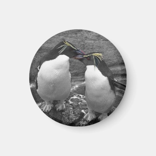 Aimant Penguin Colour Splash (Devant)