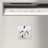 Aimant Penguin Gentoo (In Situ (Lave-vaisselle))