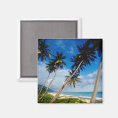 Aimant Péninsule de La Samana, République Dominicaine, (Recto/Verso)