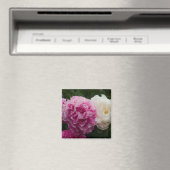 Aimant Peonies roses et blanches | Rosa & Weiße Pfingstro (In Situ (Lave-vaisselle))