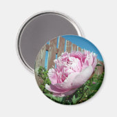 Aimant Peony 3 (Recto/Verso)