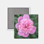 Aimant Peony rose (Recto/Verso)