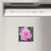 Aimant Peony rose (In Situ (Lave-vaisselle))