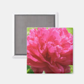 Aimant Peony rose (Recto/Verso)