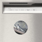 Aimant Perche de pingouin (In Situ (Lave-vaisselle))