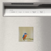 Aimant Perching Kingfisher (In Situ (Lave-vaisselle))