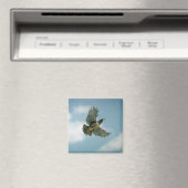 Aimant Perdrix de Chukar en vol (In Situ (Lave-vaisselle))