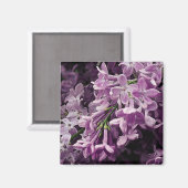 Aimant Perdu à Lilac (Recto/Verso)