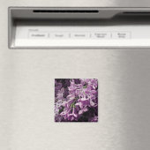 Aimant Perdu à Lilac (In Situ (Lave-vaisselle))