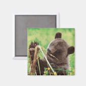 Aimant Perdu à Wonder (Recto/Verso)