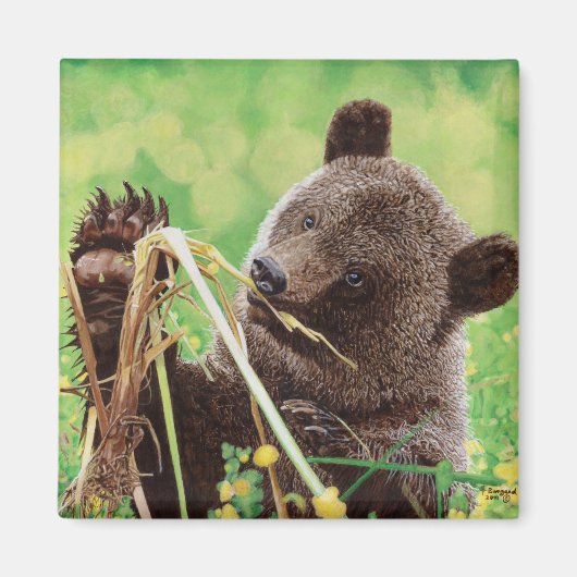 Aimant Perdu à Wonder (Devant)