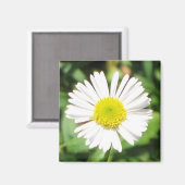 Aimant Père Noël Barbara Daisy (Recto/Verso)