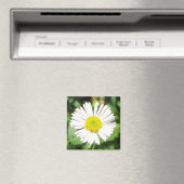 Aimant Père Noël Barbara Daisy (In Situ (Lave-vaisselle))