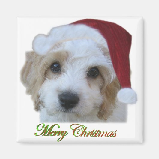 Aimant Père Noël Chase (Devant)