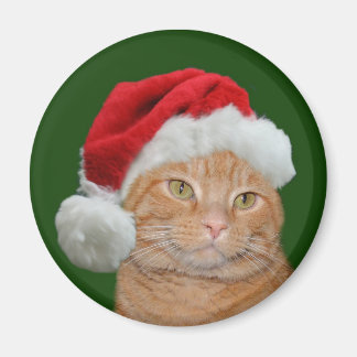 Aimant Père Noël Paws